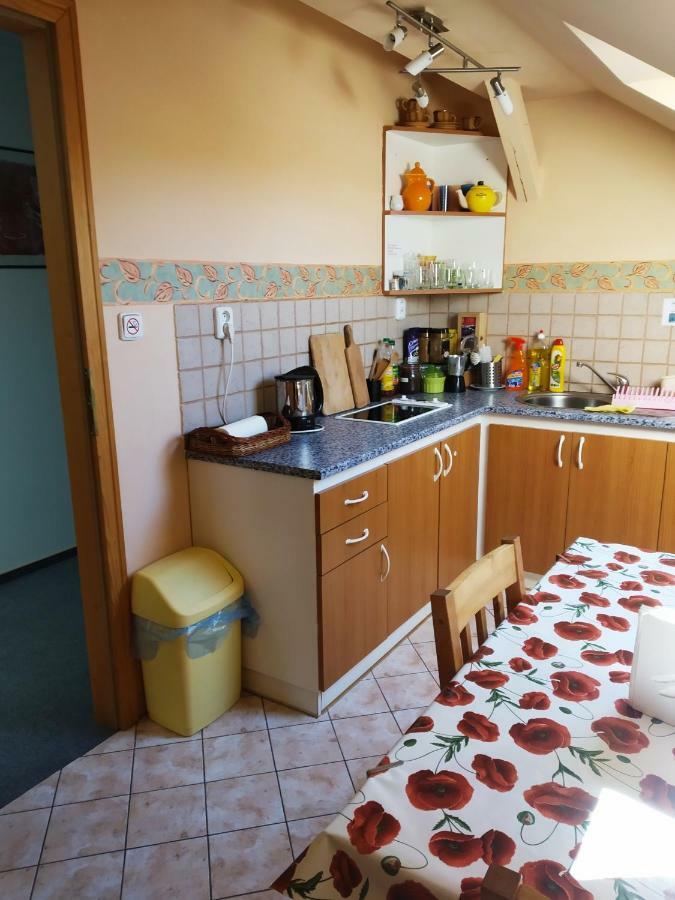 Ubytovani Poustka Františkovy Lázně Zewnętrze zdjęcie